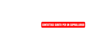 ZANZARIERE